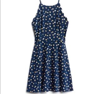 Fortune & Ivy scallop detail knit dress in Large.